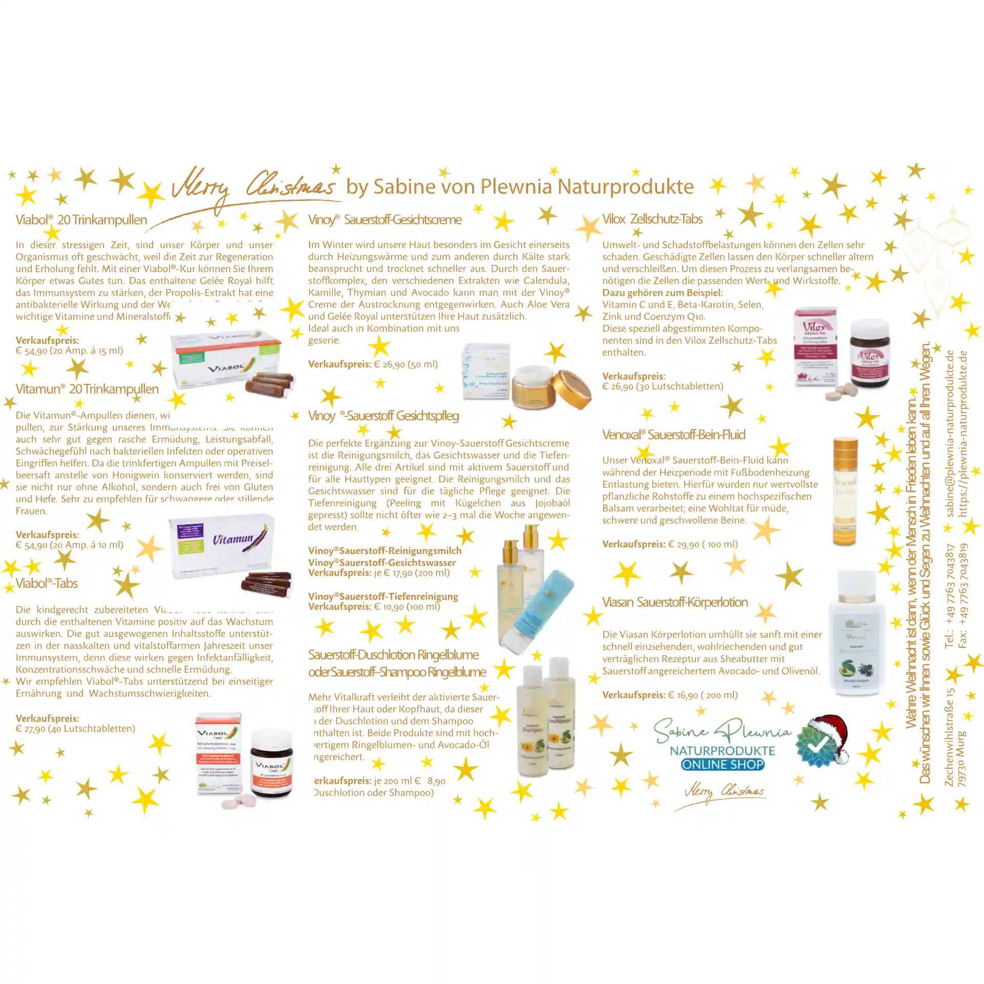 Weihnachten Winter 2025 Flyer Weihnachten Winter 2025