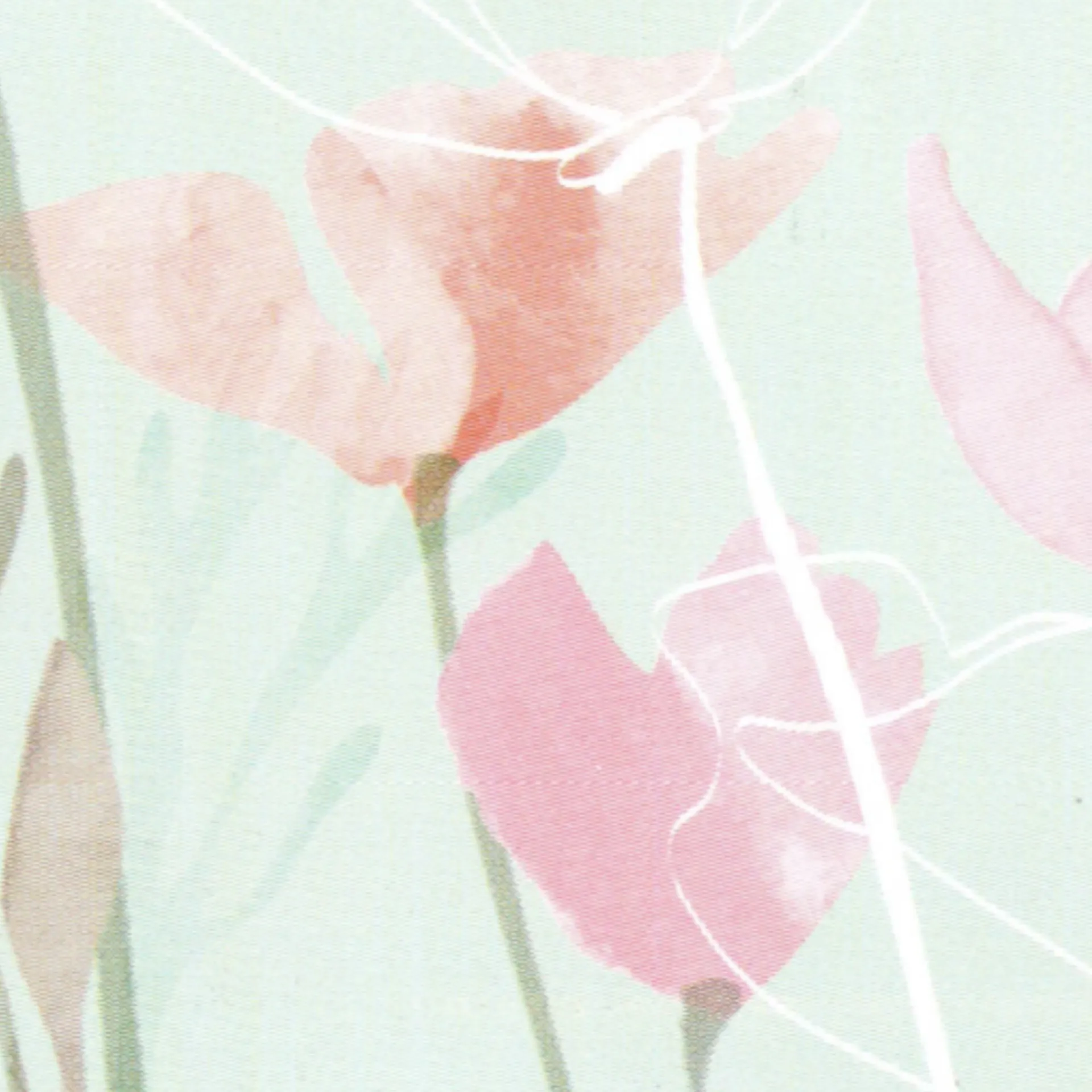 Via Nova Frühlingsflyer Via Nova Flyer Frühling