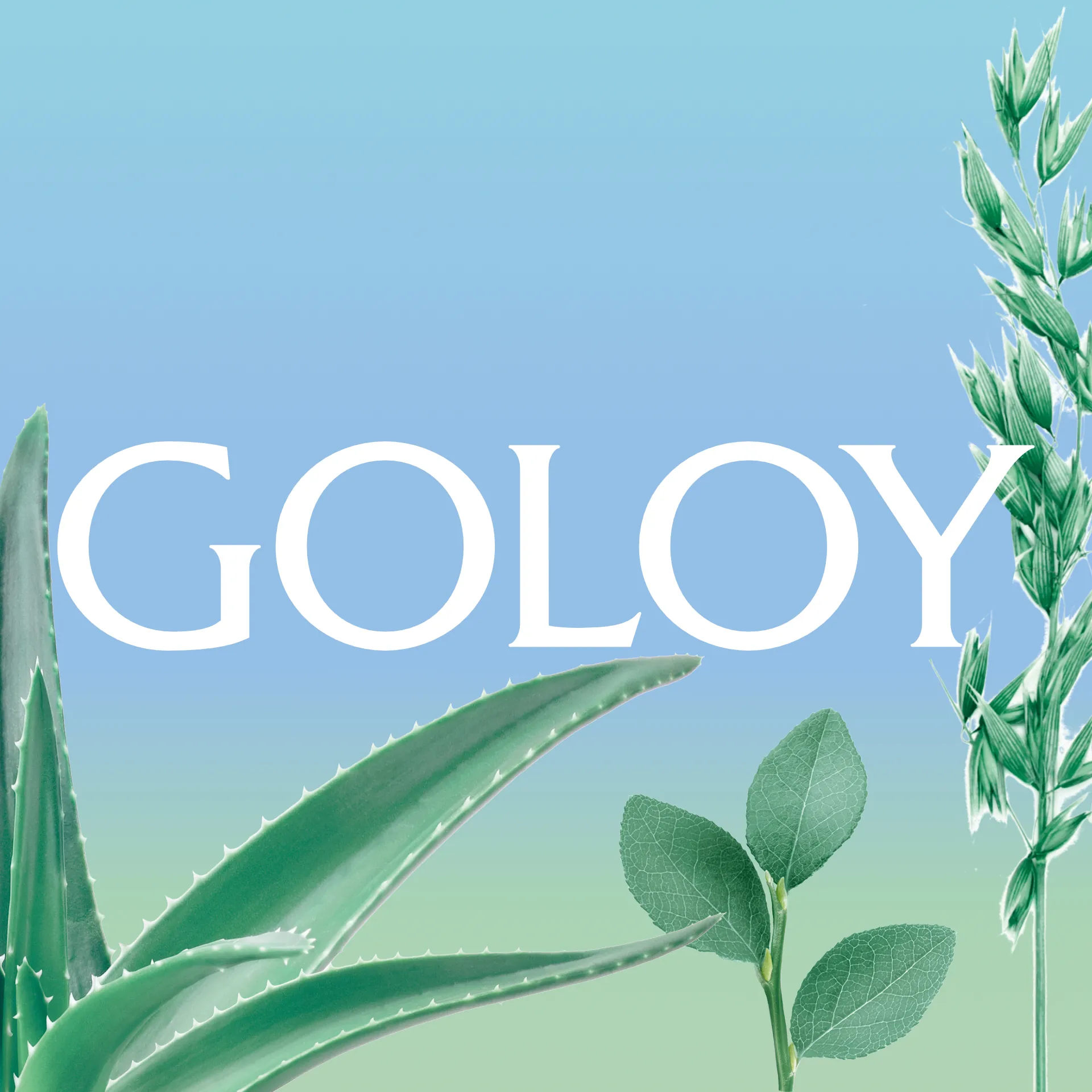 Themenkarte Goloy Face Cream Intense