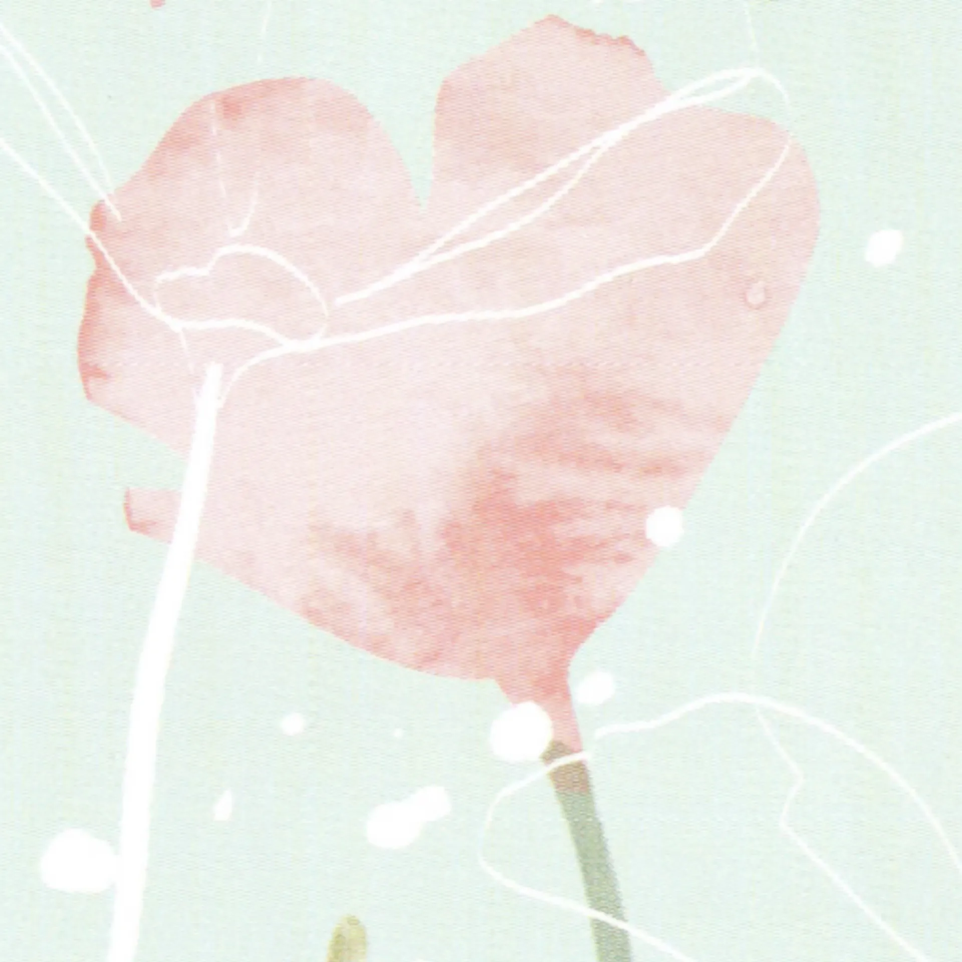 Via Nova Frühlingsflyer Via Nova Flyer Frühling