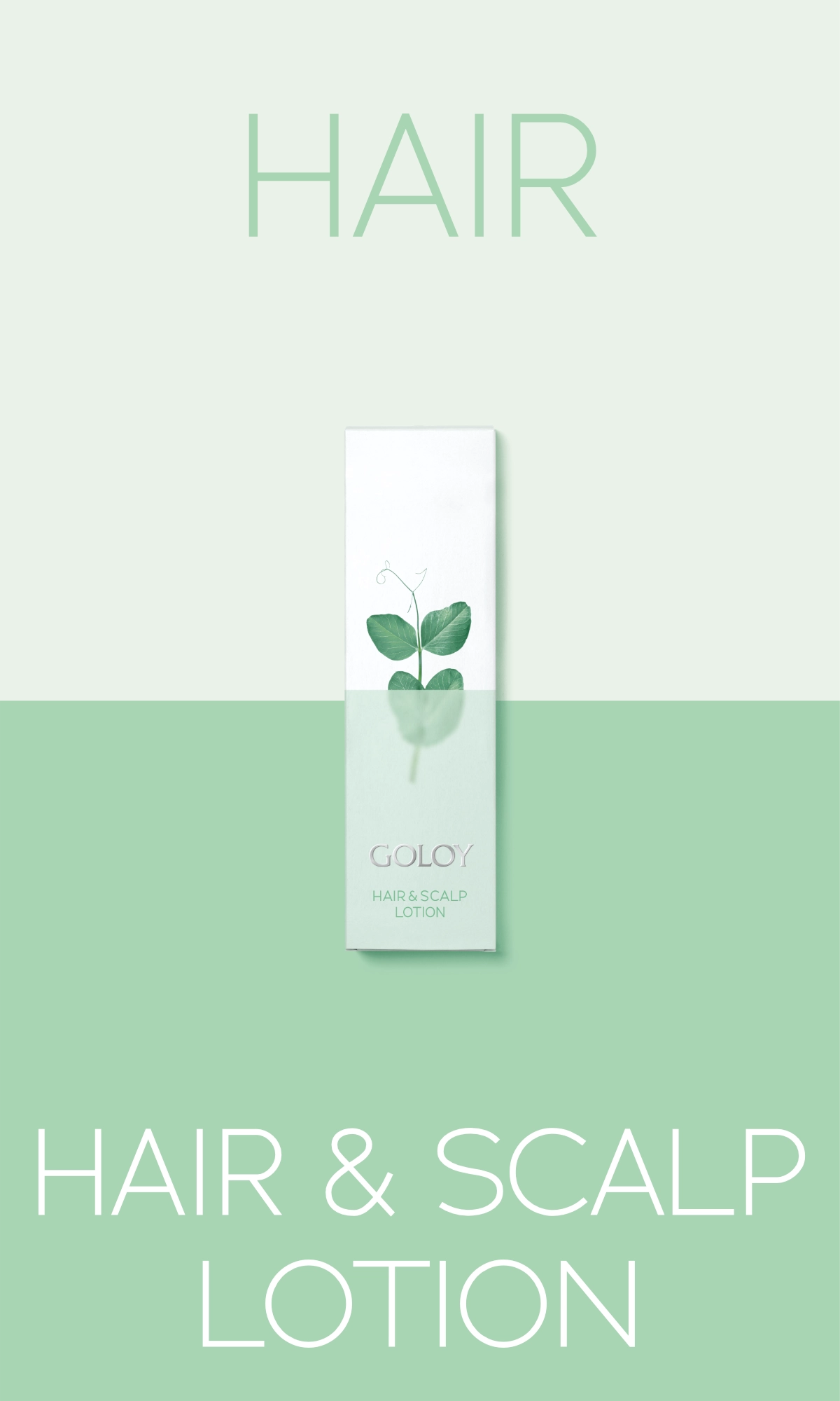 Goloy Hair Scalp Lotion Goloy Haarbodenserum