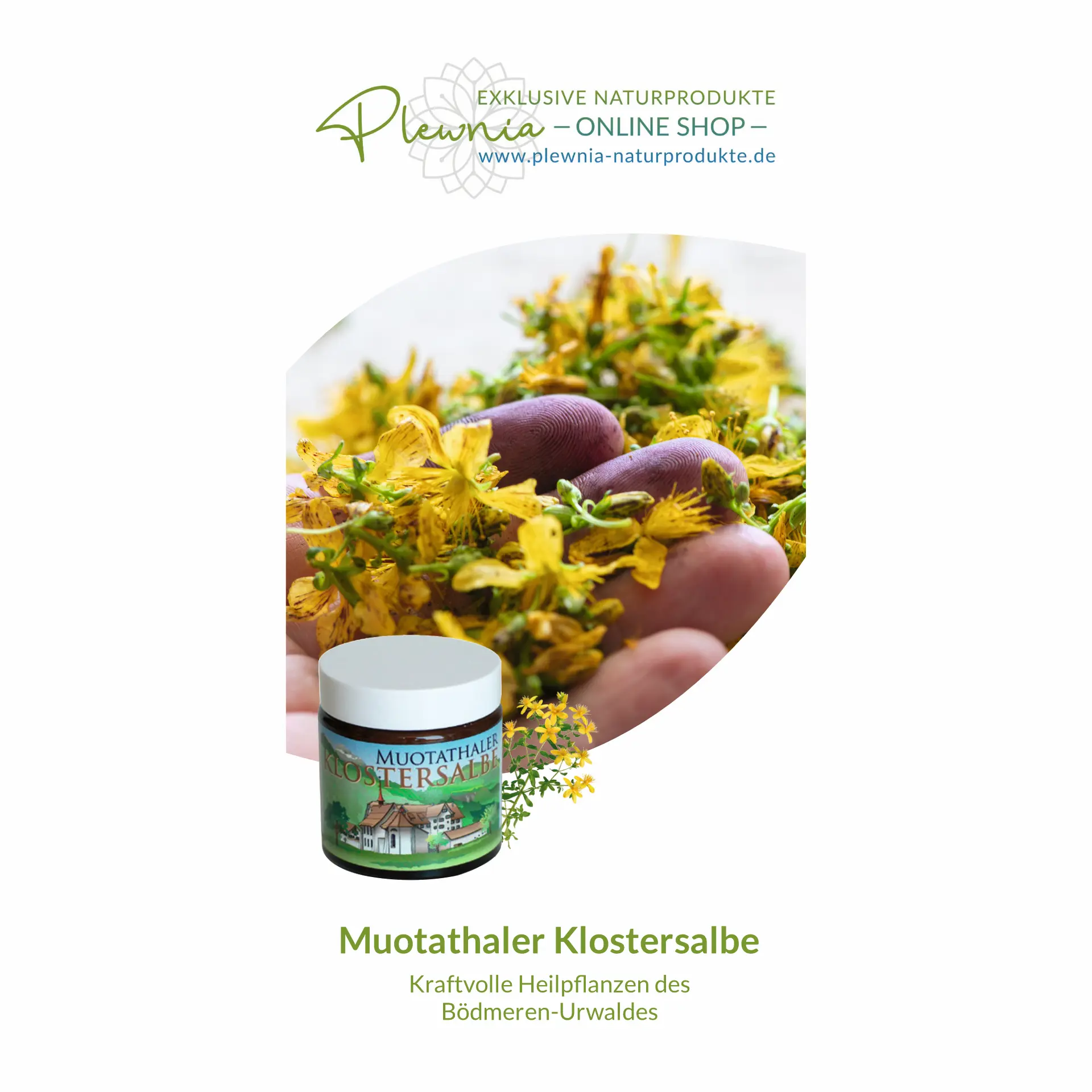 Muotathaler Klostersalbe Flyer Muotathaler Klostersalbe Flyer